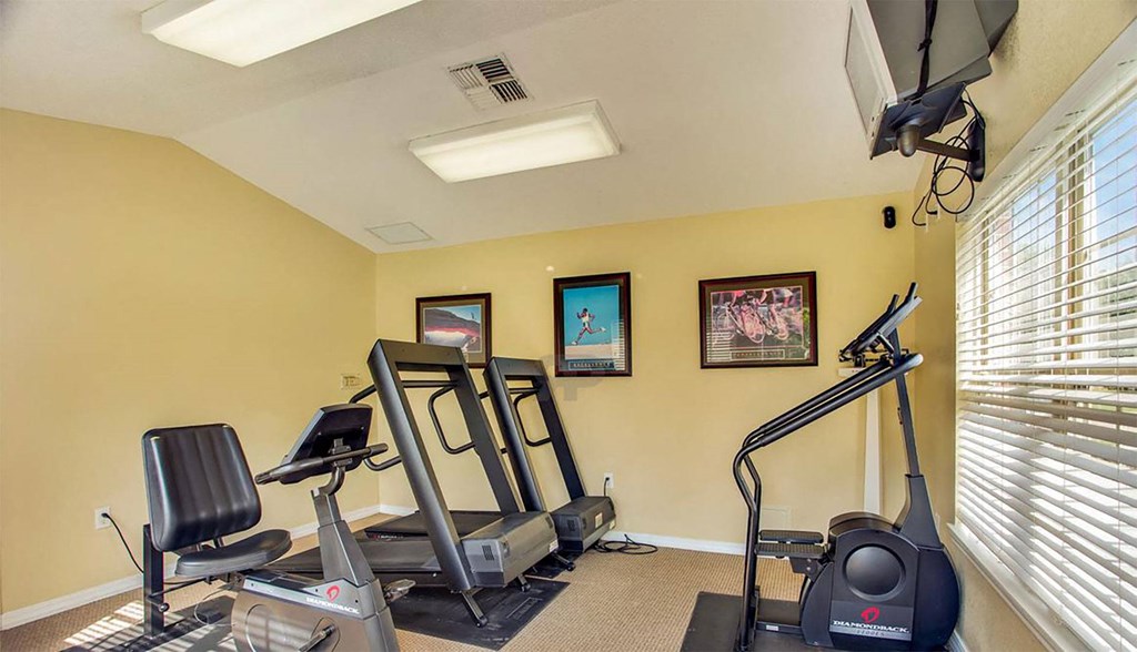 A home gym with a treadmill, stationary bike, and rowing machine.