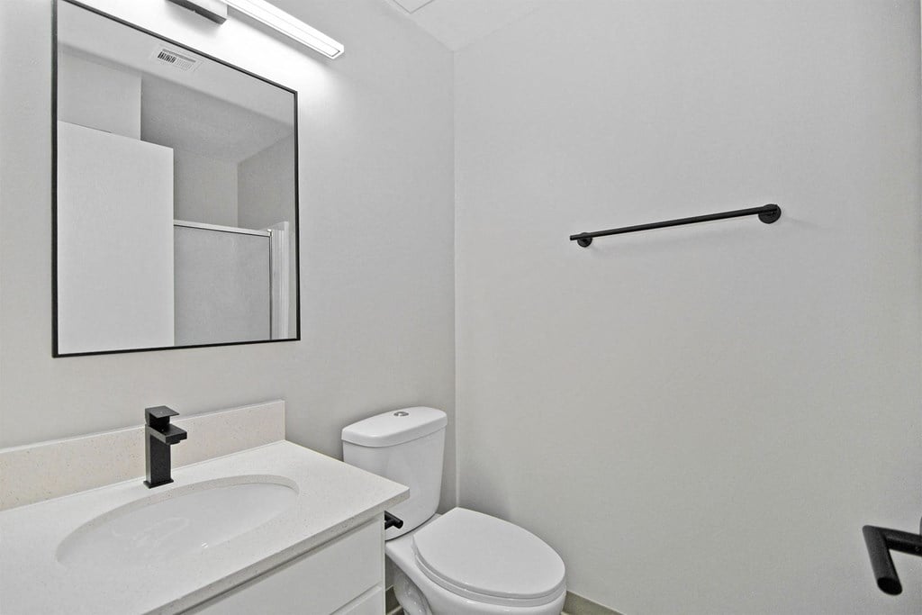 a bathroom with a sink and a toilet and a mirror