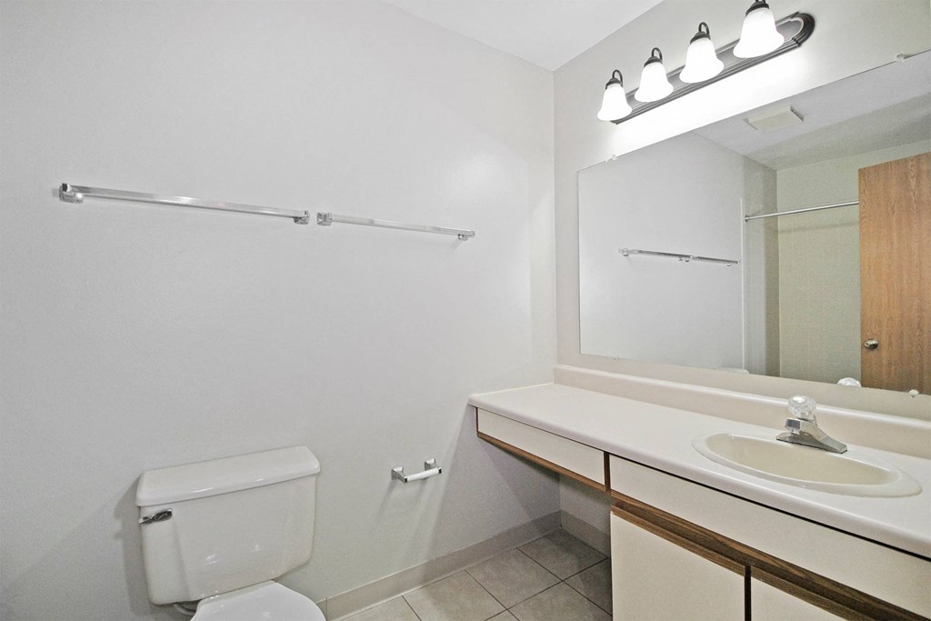 a bathroom with a toilet and a sink and a mirror