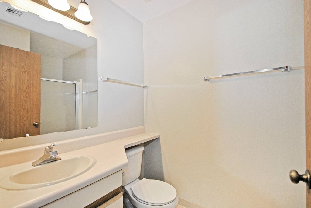 a bathroom with a sink and a mirror and a toilet