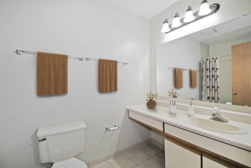 A bathroom with a toilet, sink, and mirror.
