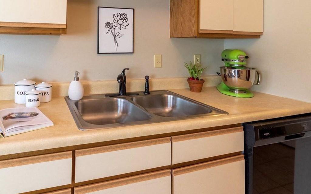 a kitchen with a sink and a counter top