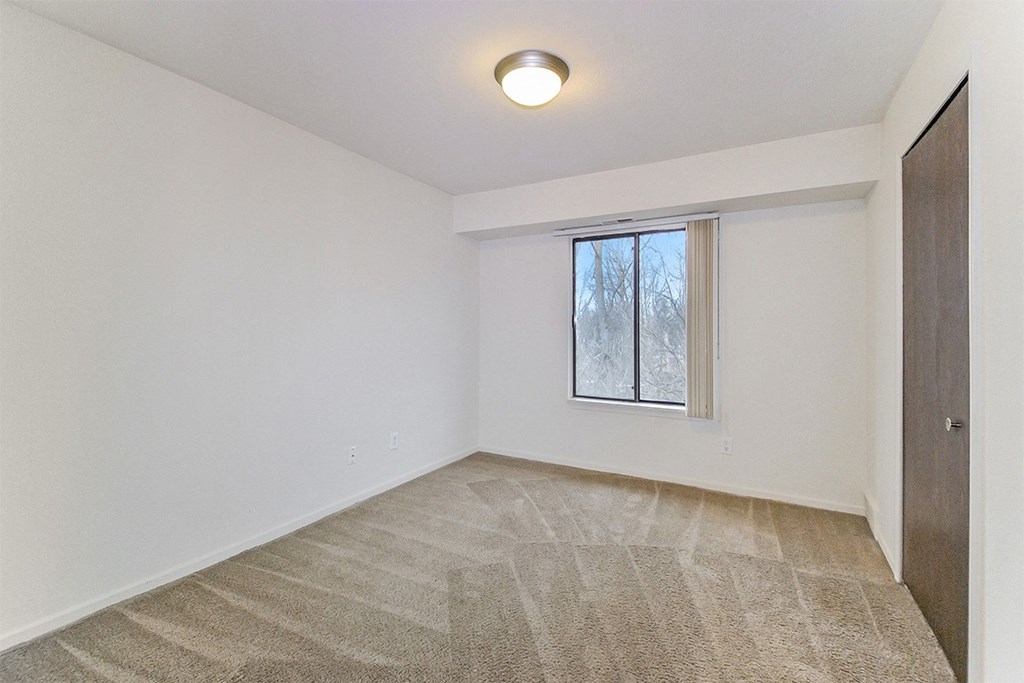 A room with a carpeted floor and a window.