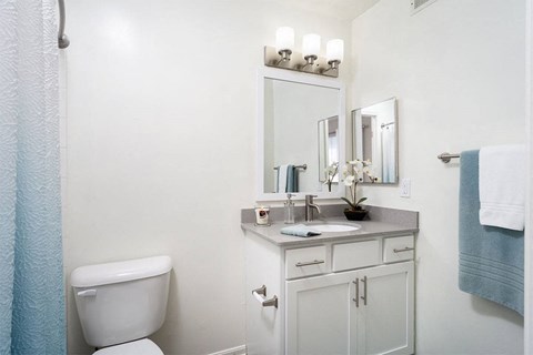 a bathroom with a toilet and a sink and a mirror