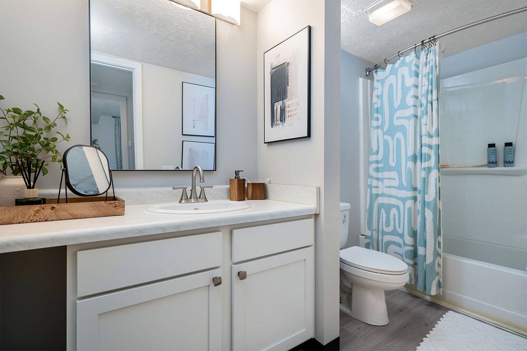 a bathroom with a sink and a toilet and a shower