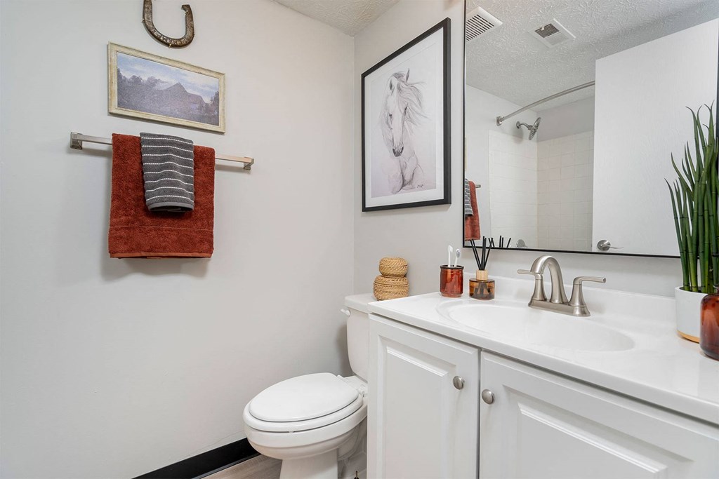 a bathroom with a sink and a toilet and a mirror
