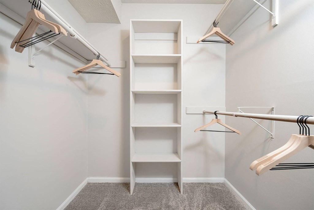 a walk in closet with shelves and hangers on the wall and a closet organizer