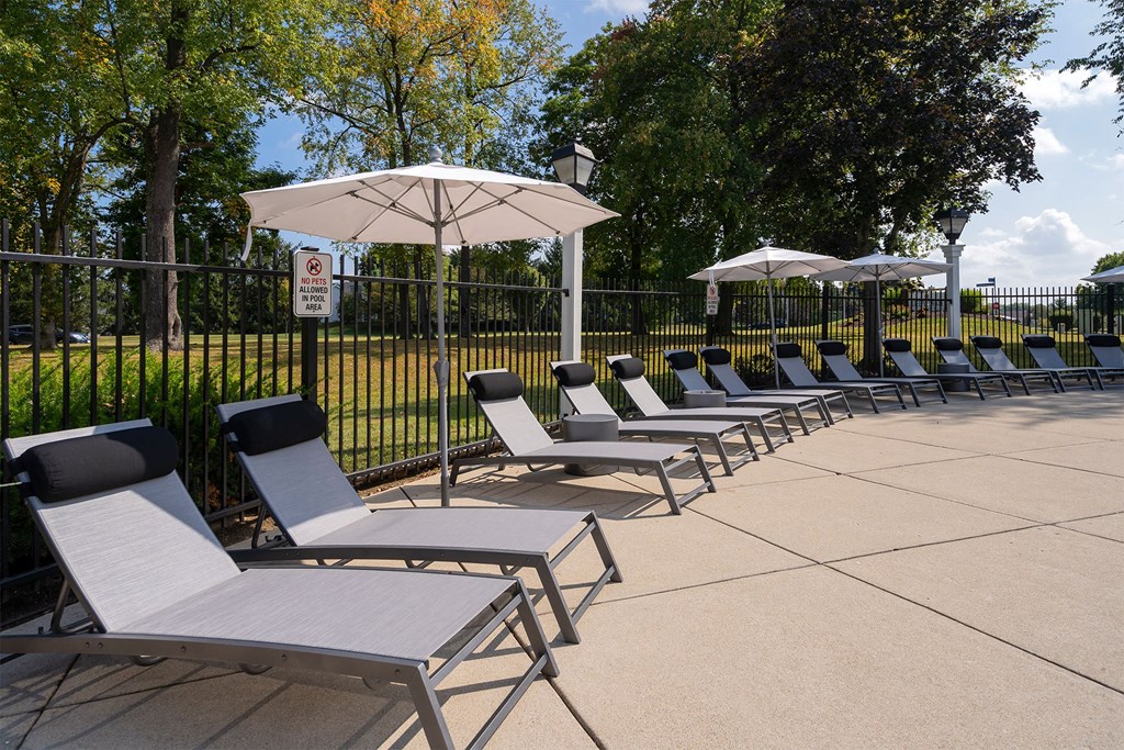 a row of lounge chairs and umbrellas in a park