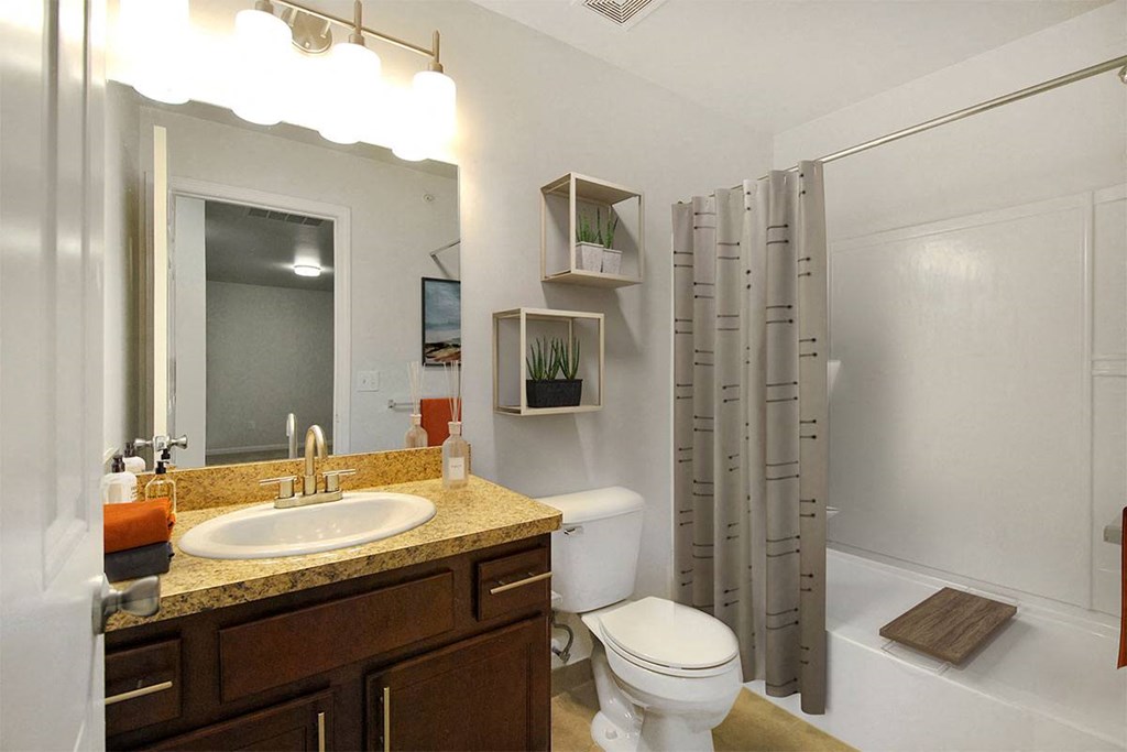 a bathroom with a sink toilet and a shower