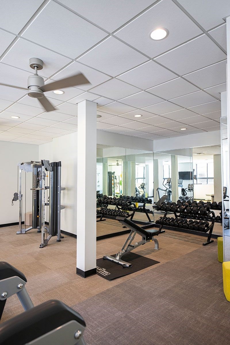 A gym with a variety of equipment including weights and a treadmill.