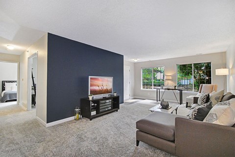 A living room with a grey couch and a television.