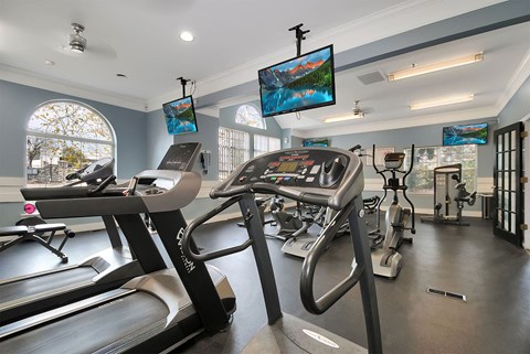 A gym with treadmills and exercise equipment.