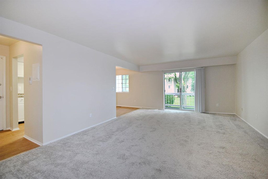 a living room with carpet and a sliding glass door