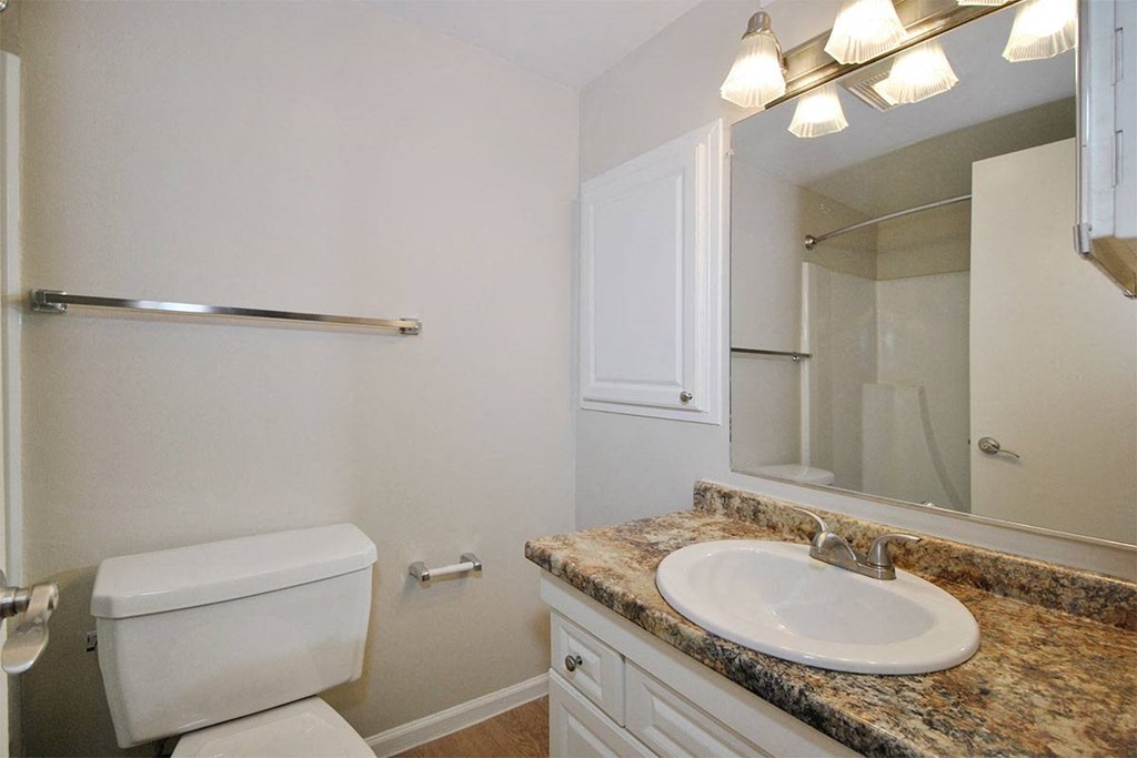 a bathroom with a sink toilet and a mirror