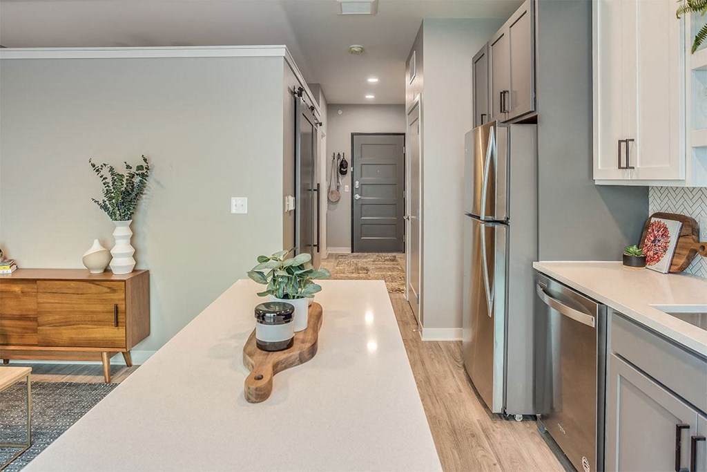 The Asher apartments kitchen and entry way