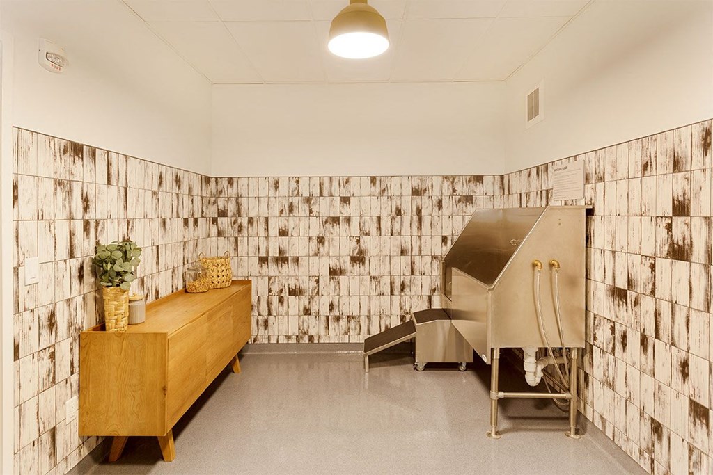 The Asher Minneapolis Dog Washing Station