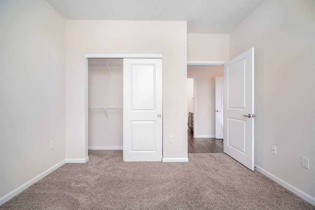a bedroom with a closet and a door to a closet
