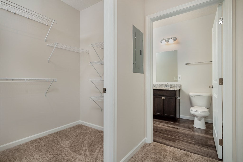 a bathroom with a toilet and a shower and a sink