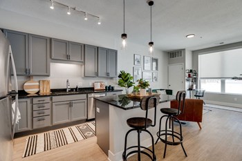 the isaac apartments roseville minnesota kitchen and living room - Photo Gallery 3