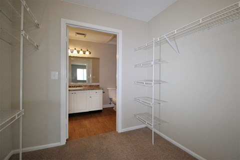the lakes of holland apartments walk in closet