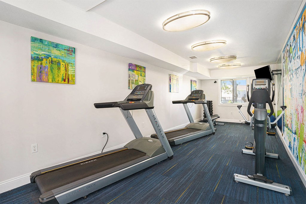 the lakes of holland apartments fitness center
