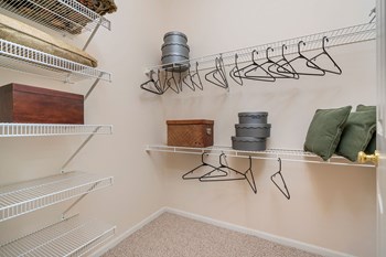 the orchard apartments walk in closet - Photo Gallery 8