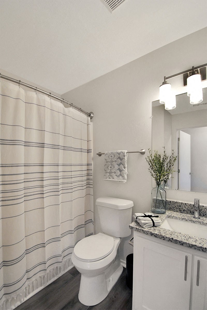 a bathroom with a shower and a toilet and a sink