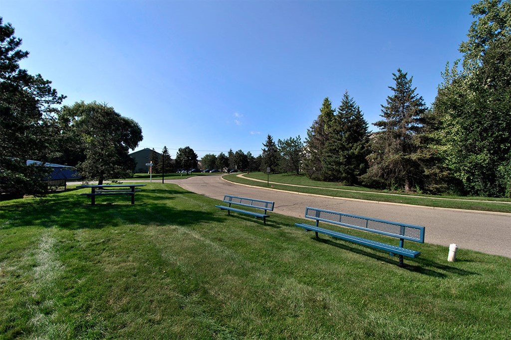 a park with benches on the side of a road