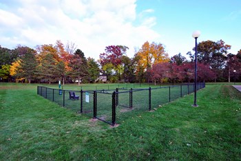 the view apartment and townhomes dog park - Photo Gallery 5
