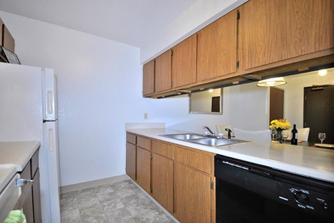 the view apartment and townhomes kitchen