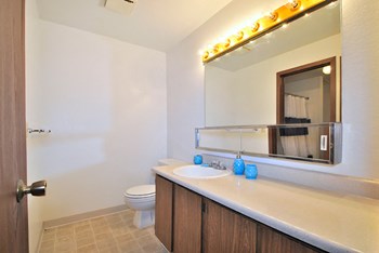 the view apartment and townhomes bathroom - Photo Gallery 17