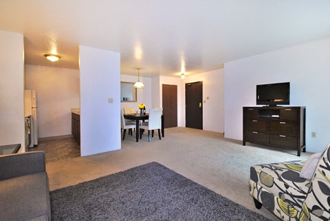 the view apartment and townhomes living room