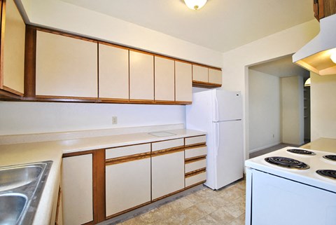 the view apartment and townhomes kitchen