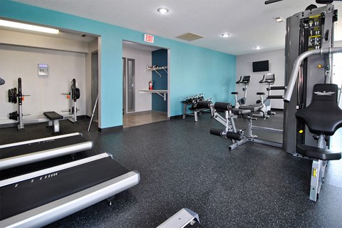 the view apartment and townhomes fitness center