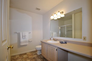 the vista apartments and townhomes bathroom - Photo Gallery 5