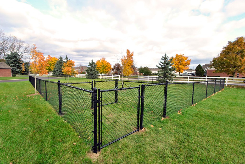 the vista apartments and townhomes dog park