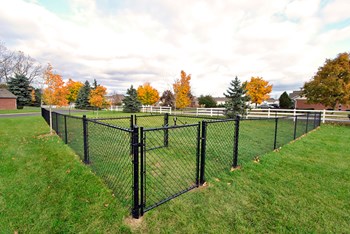 the vista apartments and townhomes dog park - Photo Gallery 13