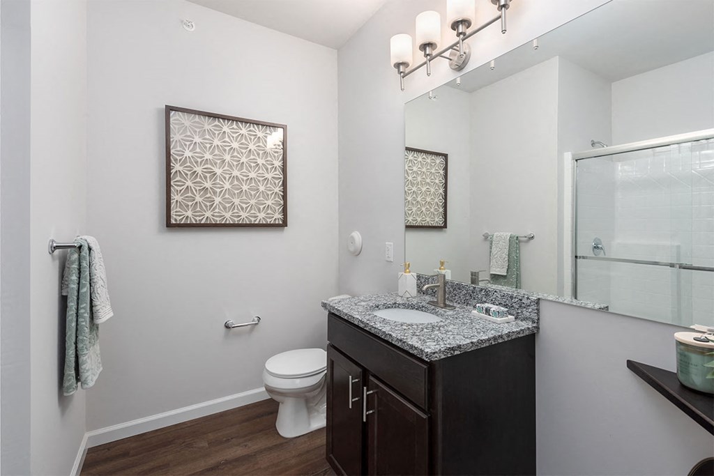 a bathroom with a sink and a toilet and a mirror