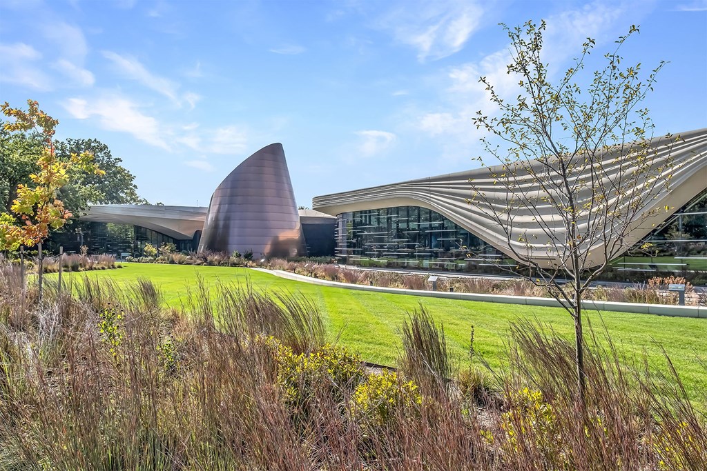 A modern building with a curved roof and a tall tree in the foreground.