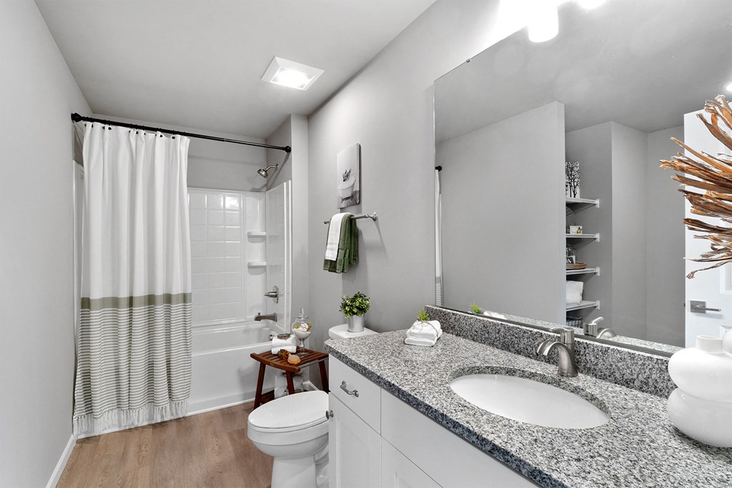 a bathroom with a sink and a toilet and a shower