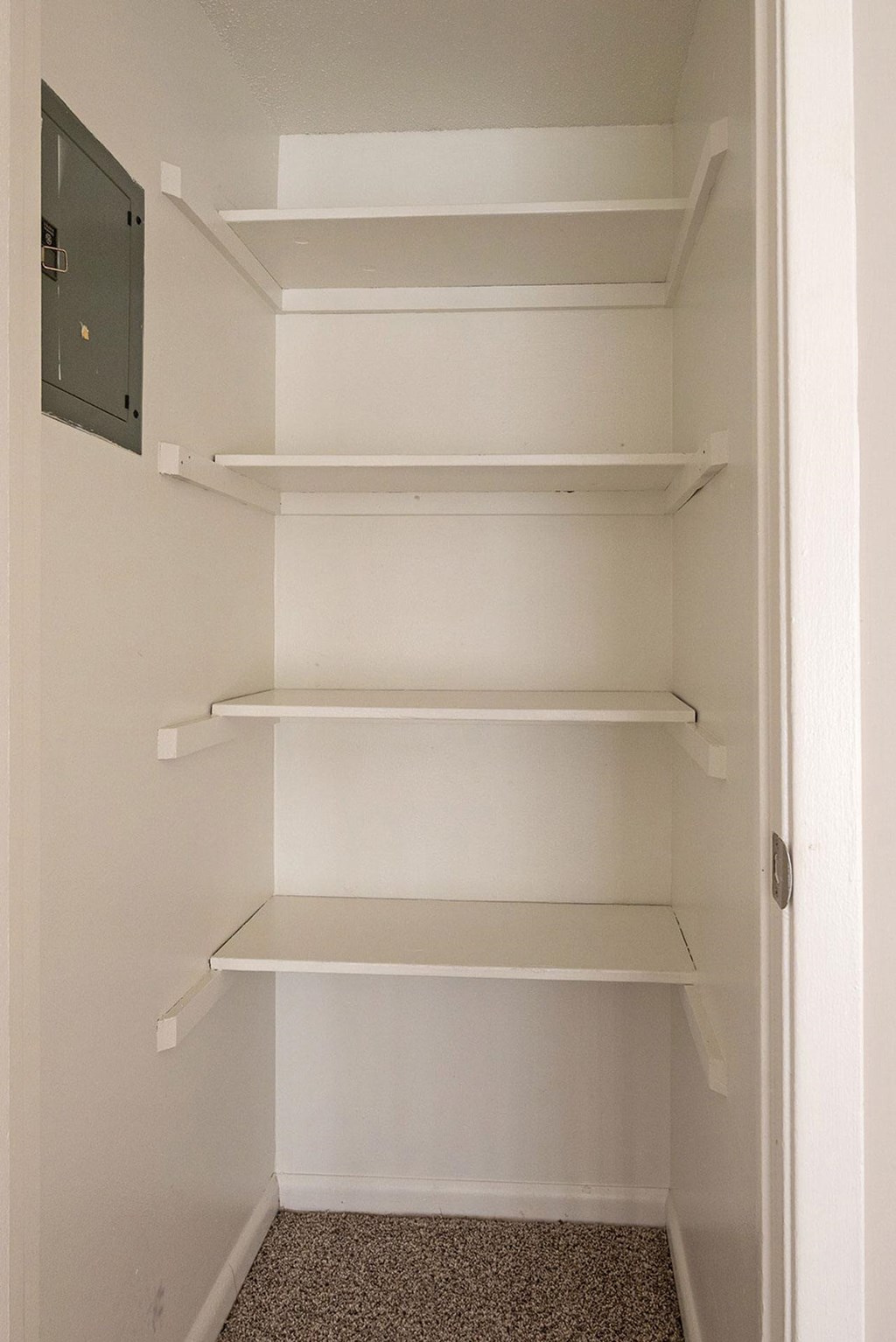 Empty white shelves in a pantry.