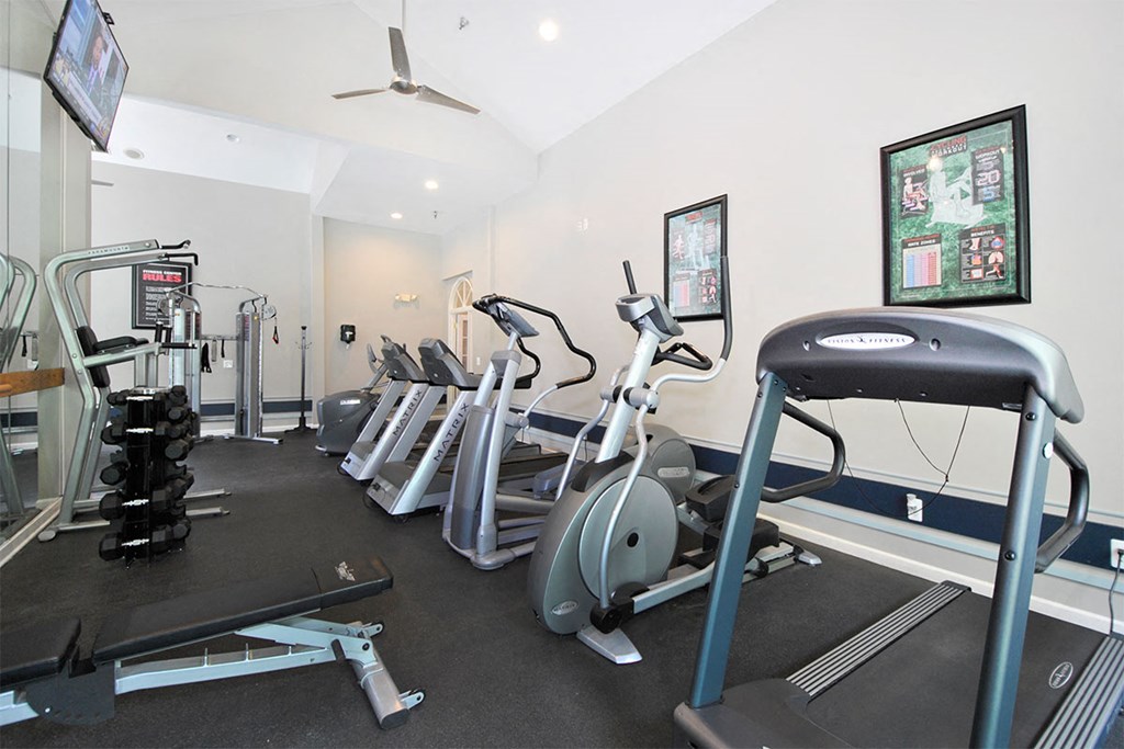 the gym is equipped with cardio equipment and weights