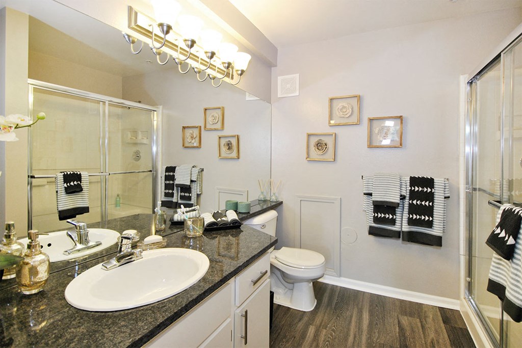 a bathroom with a sink and a toilet and a shower