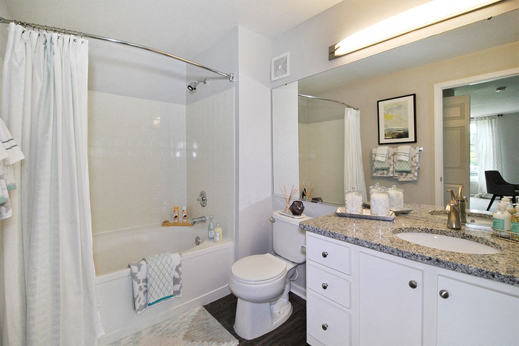 a bathroom with a shower toilet and sink and a mirror
