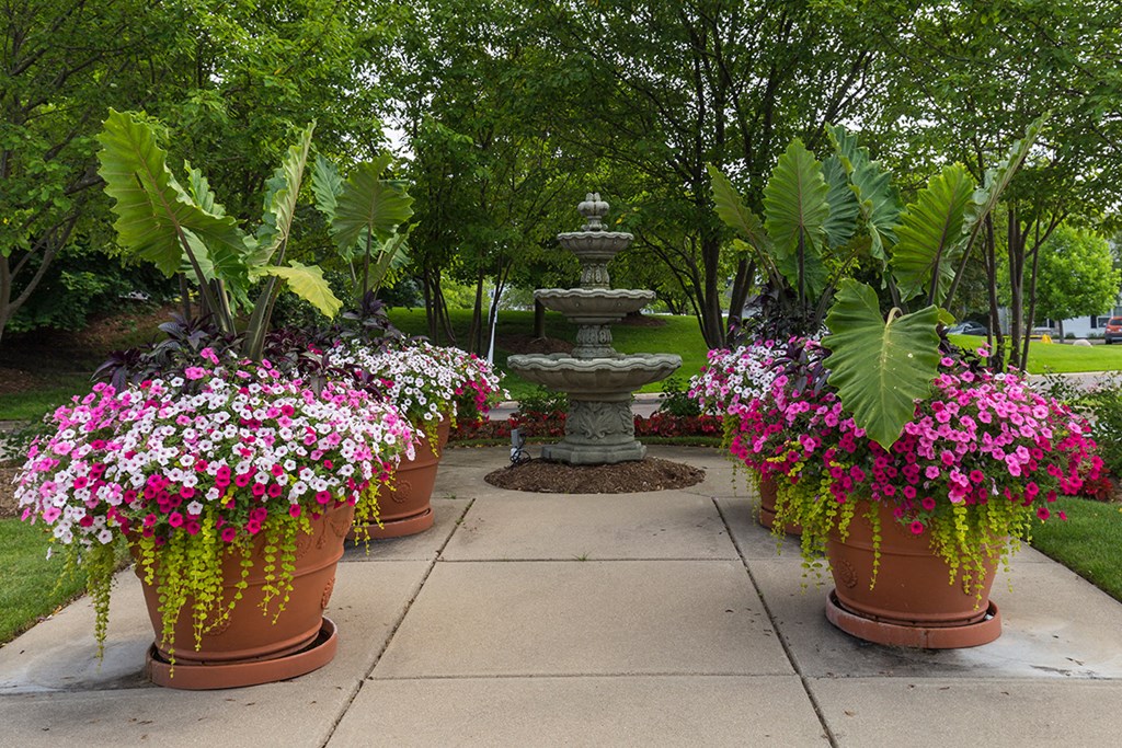 four pots of flowers in a garden with a fountain