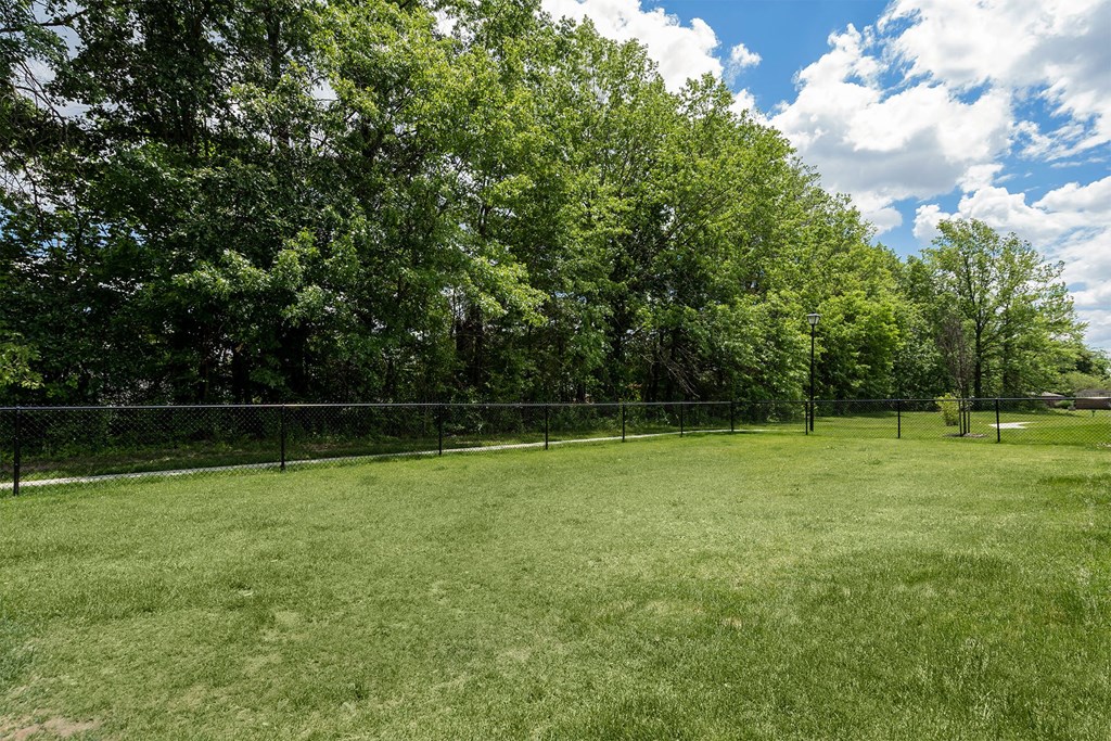 a grassy field with trees and a chain link fence