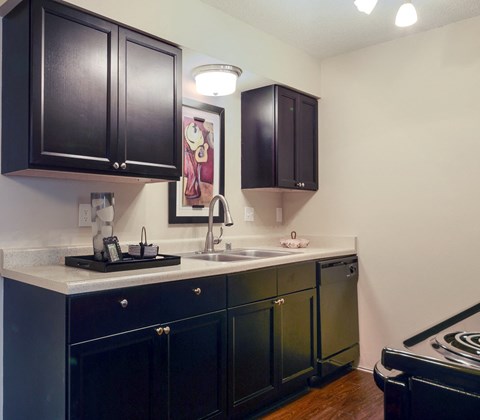 A kitchen with black cabinets and a white countertop.