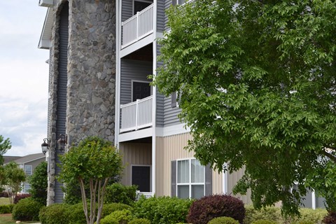 A large tree is in front of a building.