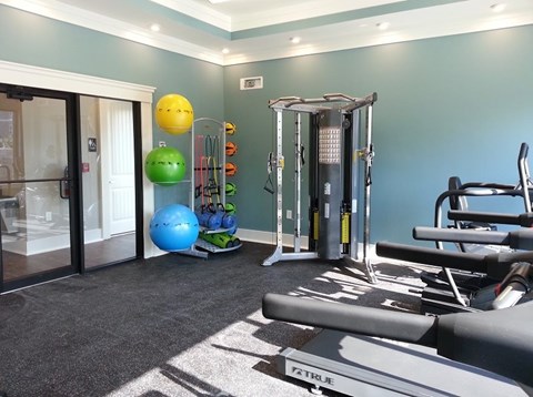 A home gym with a variety of equipment including a treadmill, weights, and exercise balls.