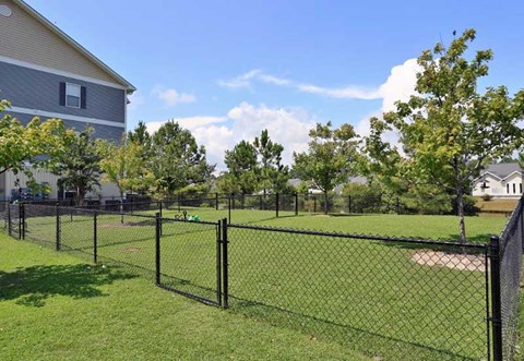 A black chain link fence surrounds a green field.